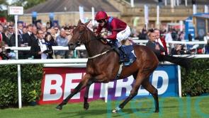 Burke sending classy duo over to Deauville for trials