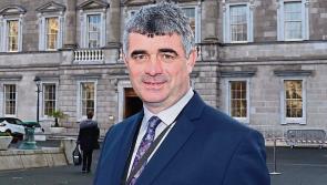 Limerick TD appointed to lead key D&aacute;il committee