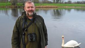 Plans for green spaces in Limerick to 'reimagine' the future of the city and county