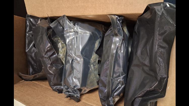 Garda&iacute; and Revenue Customs Service Seize &euro;100,000 Cannabis, Arrest