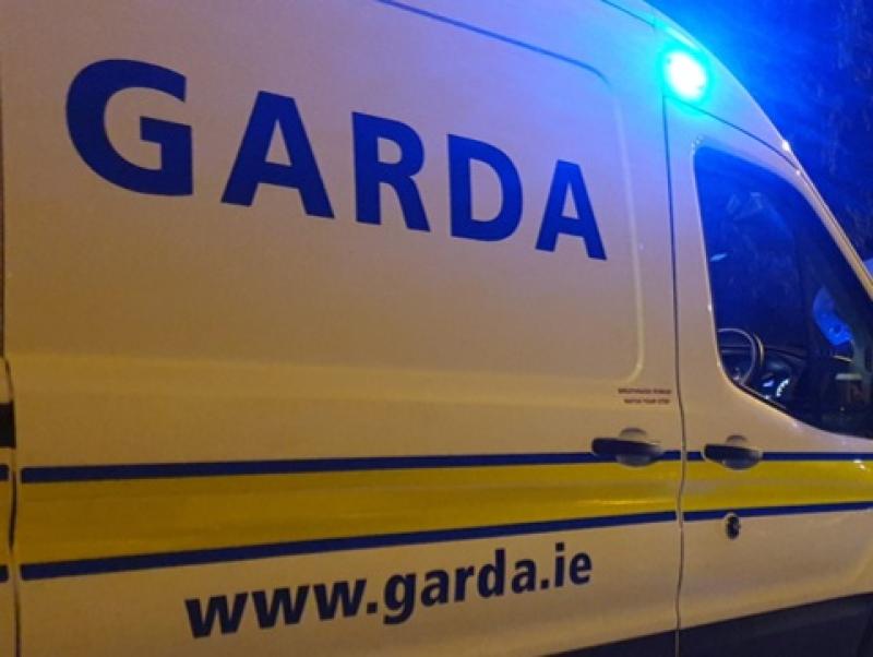 'We need you to help us' - Garda&iacute; in desperate appeal to people amid major operation