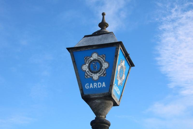 Garda&iacute; issue witness appeal following fatal hit-and-run that saw a man (20s) killed