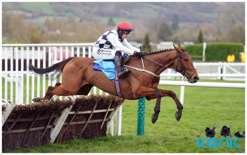All eyes on Willie Mullins' brilliant Blackburn at Punchestown