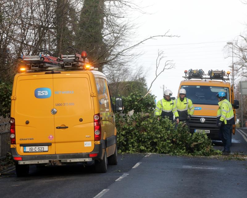 ESB in urgent safety appeal following 'very dangerous&nbsp;incidents' in the wake of Storm &Eacute;owyn