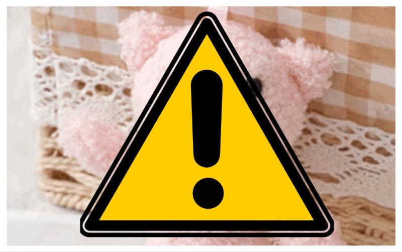 ALERT: Temu recalls popular product amid serious choking hazard