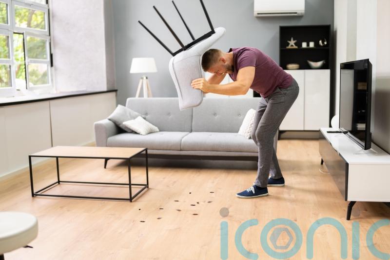 Are there creepy crawlies lurking in your home? How to spot and get rid of them