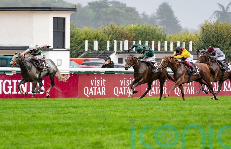 Alpinista retired after picking up minor injury in Japan Cup preparation