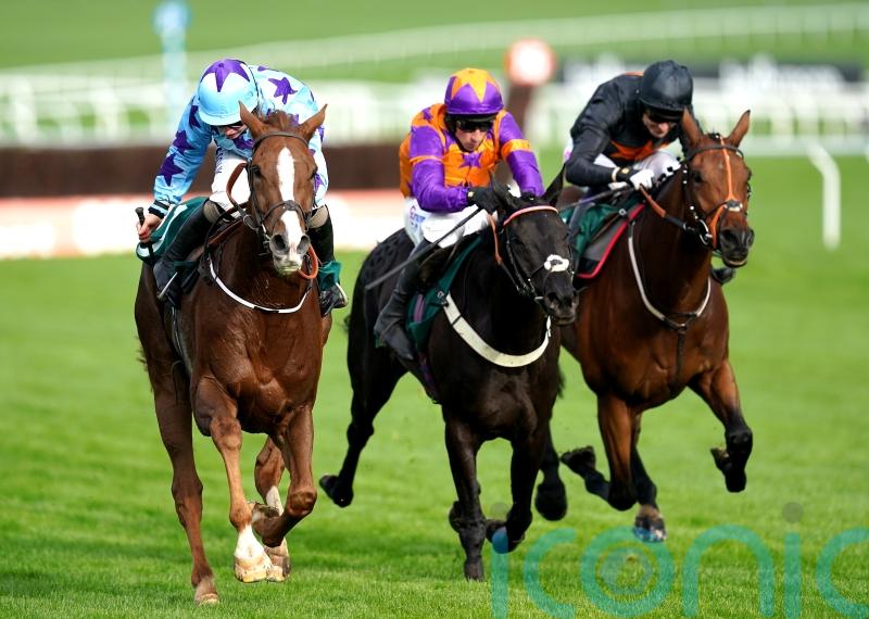 McConnell has sights set on more Cheltenham gains