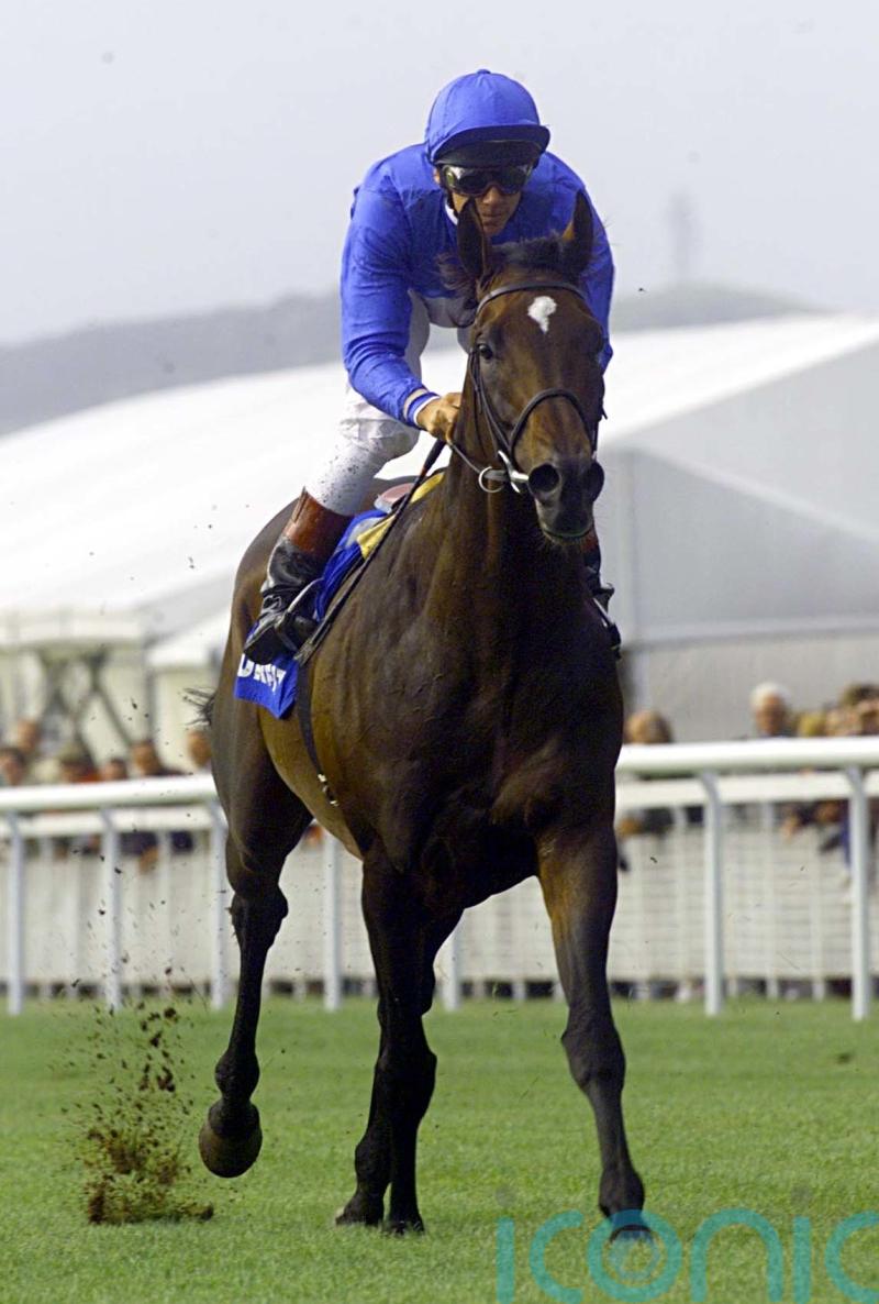 Top stayer and jumps sire Kayf Tara dies aged 28