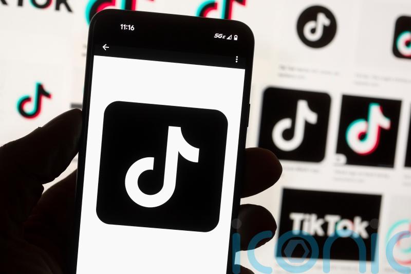 TikTok banned from EU Commission phones over cybersecurity
