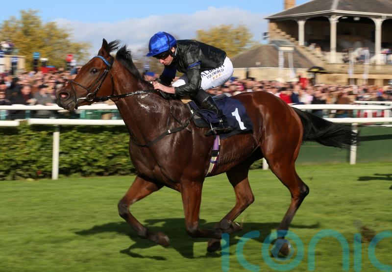 Boughey looking to Totally Charming for first winner in Ireland