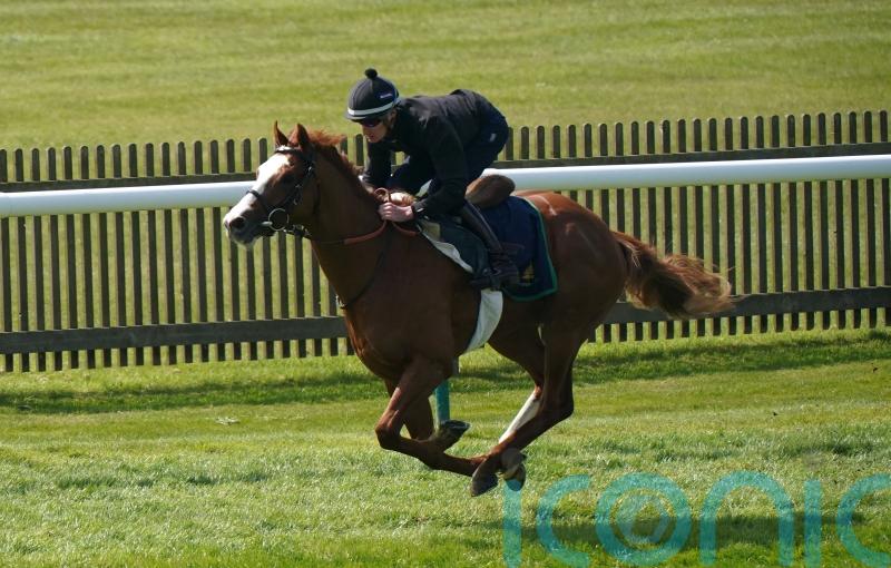 Dubai Mile edging towards Guineas after Newmarket workout