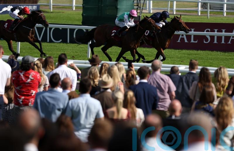 Oaks bid not ruled out yet for Bluestocking