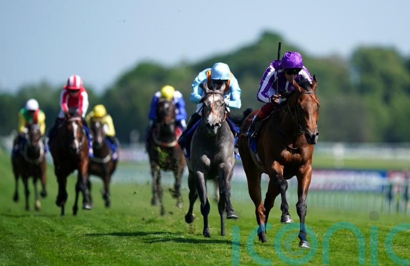 Little Big Bear added to Maurice de Gheest line-up