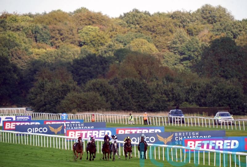 Doncaster have cause to be hopeful of staging Futurity Trophy card