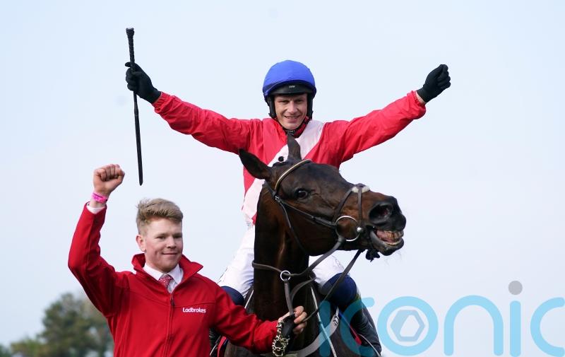 Allaho back on course in Clonmel Oil contest