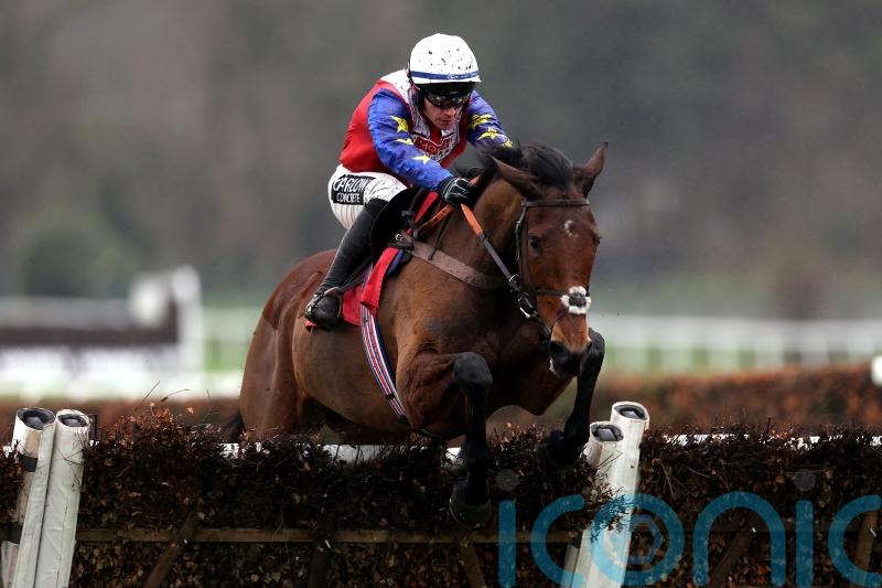 Love Envoi could take on Constitution Hill at Newcastle