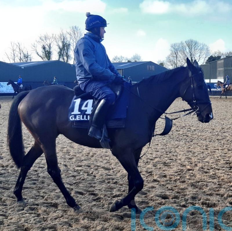 Elliott admits &lsquo;awesome&rsquo; Galopin hard to top at Cheltenham