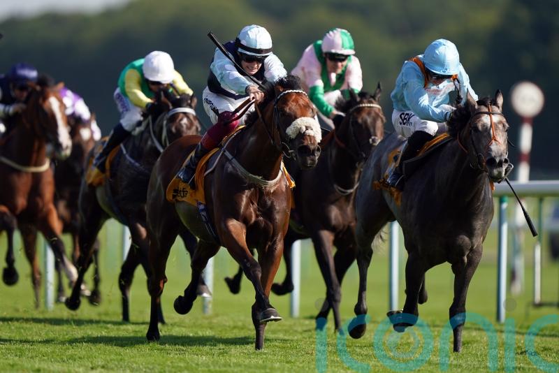 Hannon issues Wolverhampton warning for Shouldvebeenaring