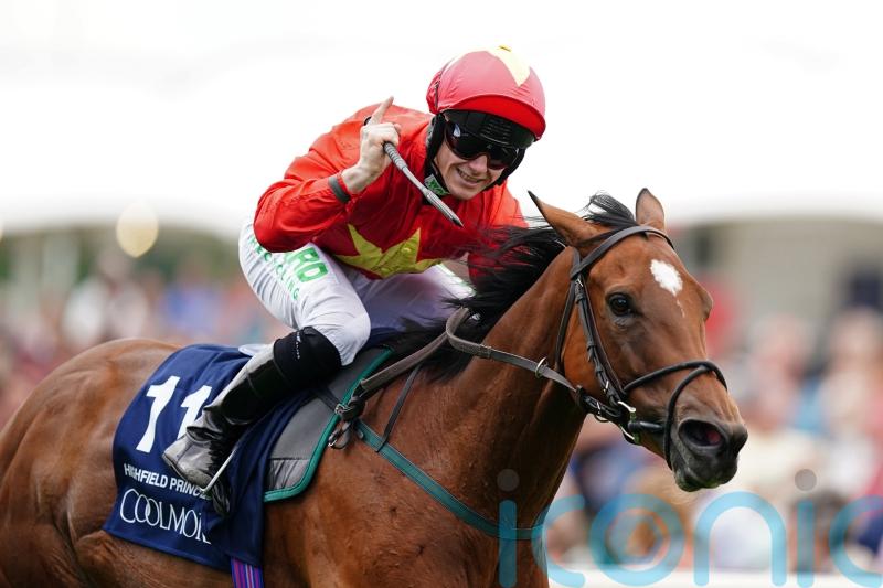 Highfield Princess retired following stable injury