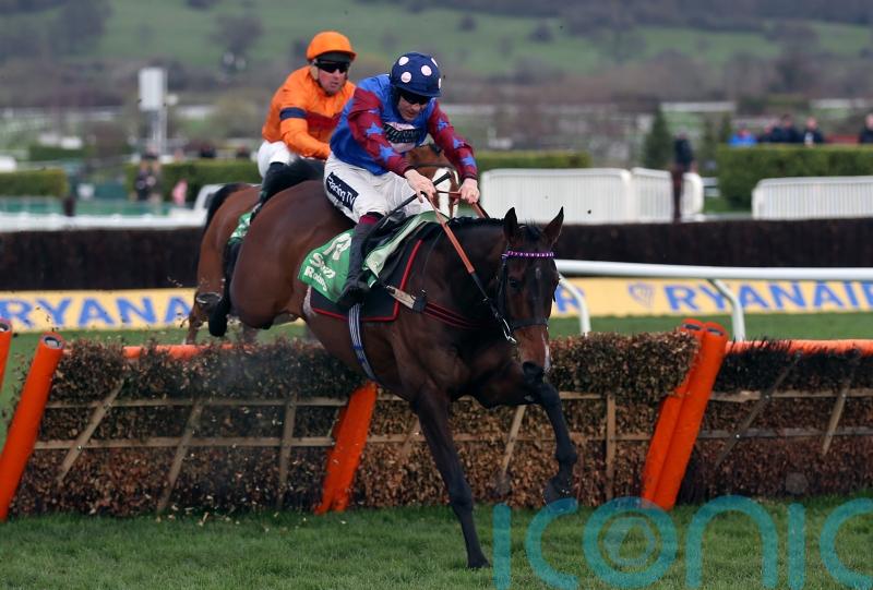 Staying star Paisley Park bows out at Cheltenham