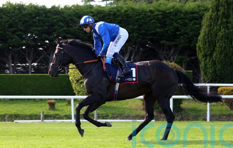 Burrows pencils in early summer return for Alflaila