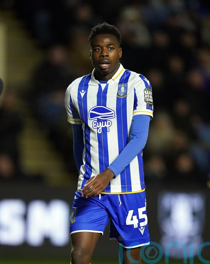 Sheffield Wednesday boost survival hopes with convincing win over West Brom