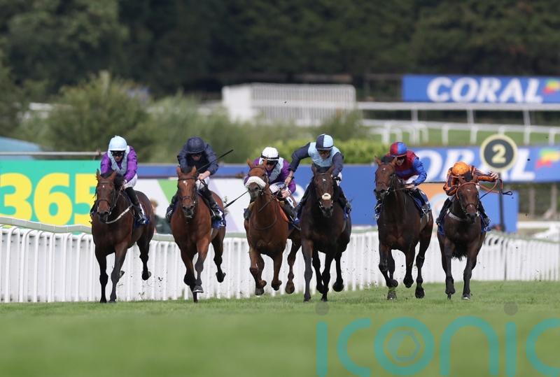 Al Riffa Arc-bound after admirable second in Coral-Eclipse