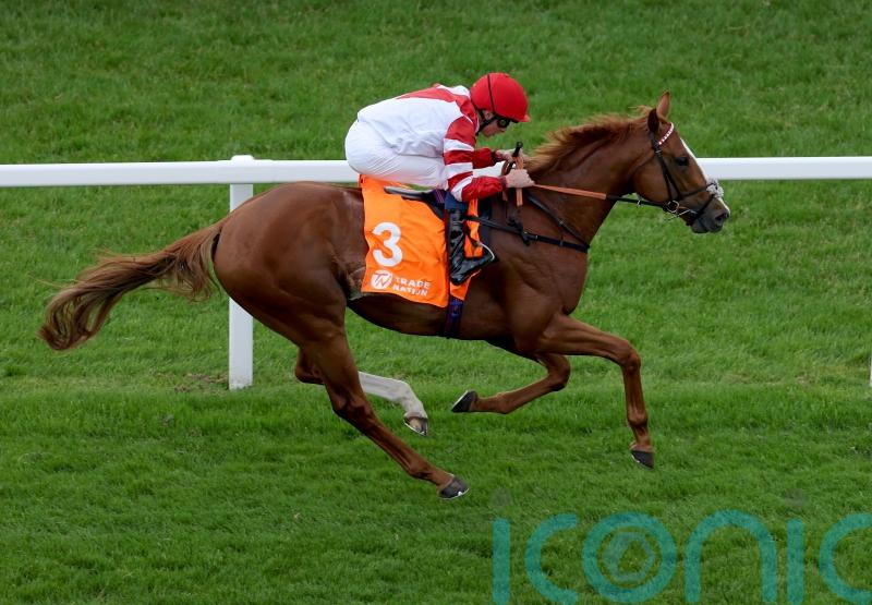 Shepherd looking to guide King&rsquo;s Gambit to York Stakes glory