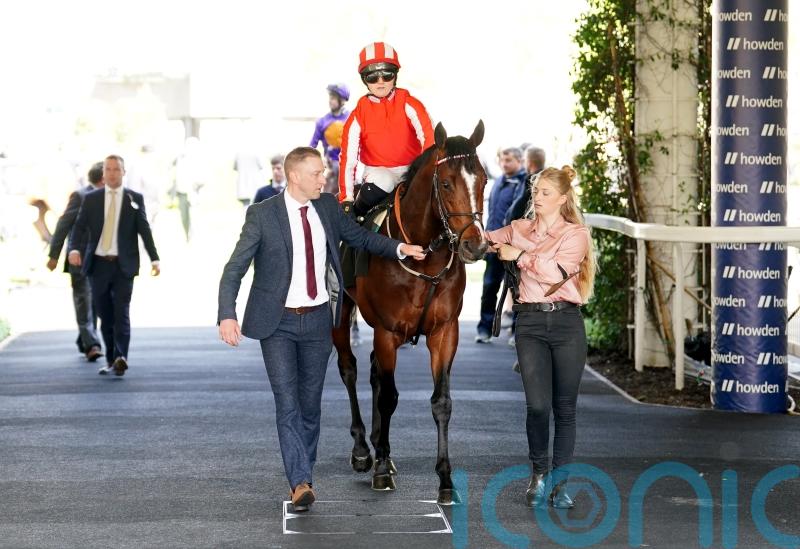 Bradsell on track for Nunthorpe and other top sprint targets