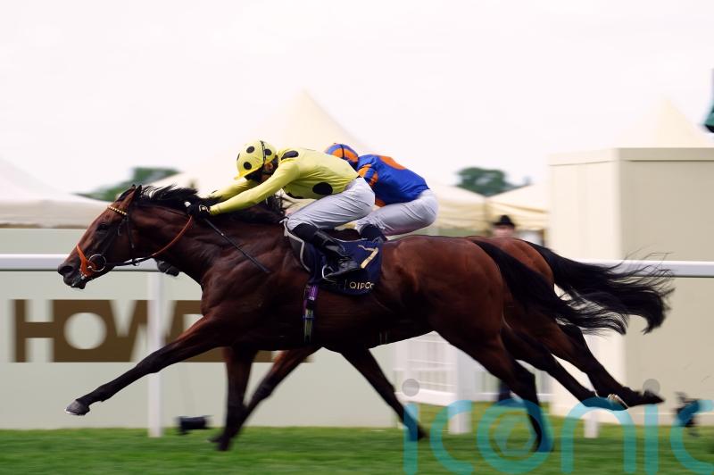 Hannon elects to draw stumps with Rosallion for this year