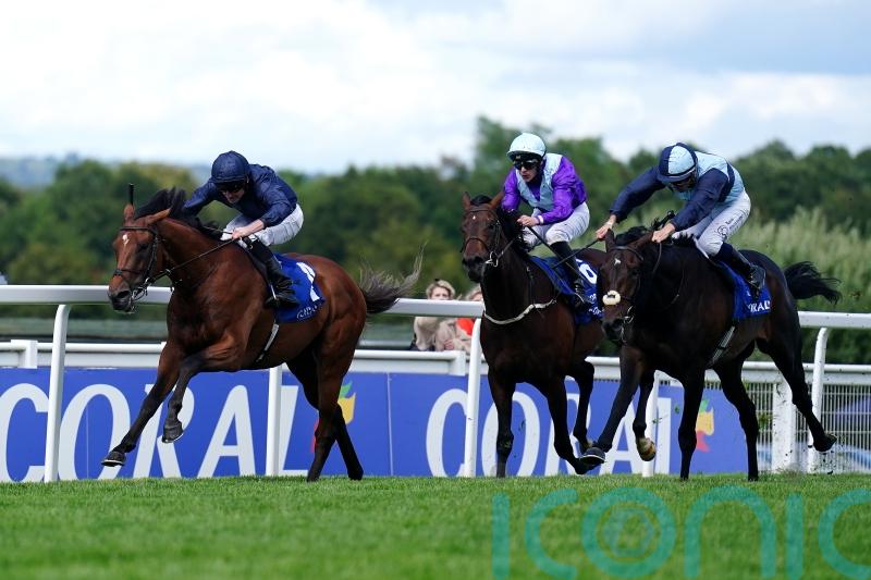 Japanese support growing ahead of Al Riffa&rsquo;s Arc date