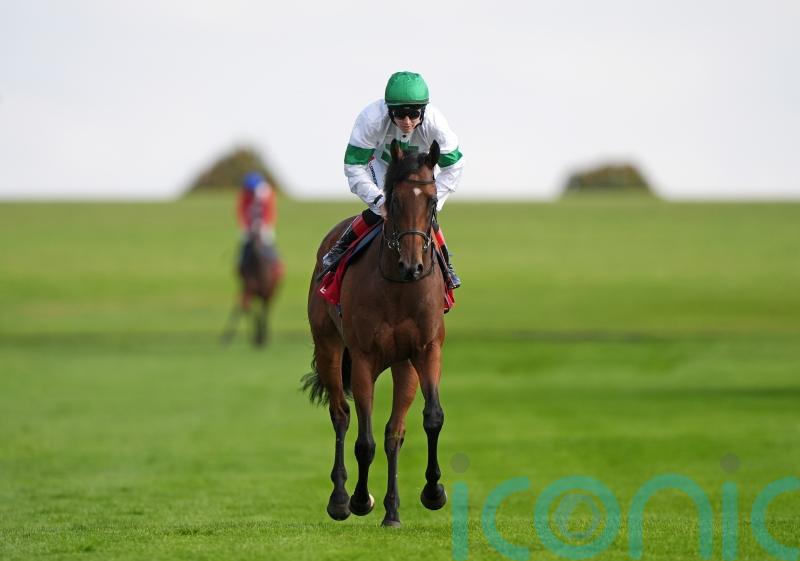 Tamfana helps ambitious syndicate to make giant leap