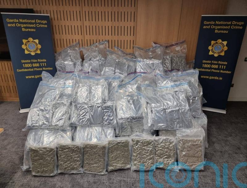 Four men arrested after cannabis worth 8.5m euro found at business premises