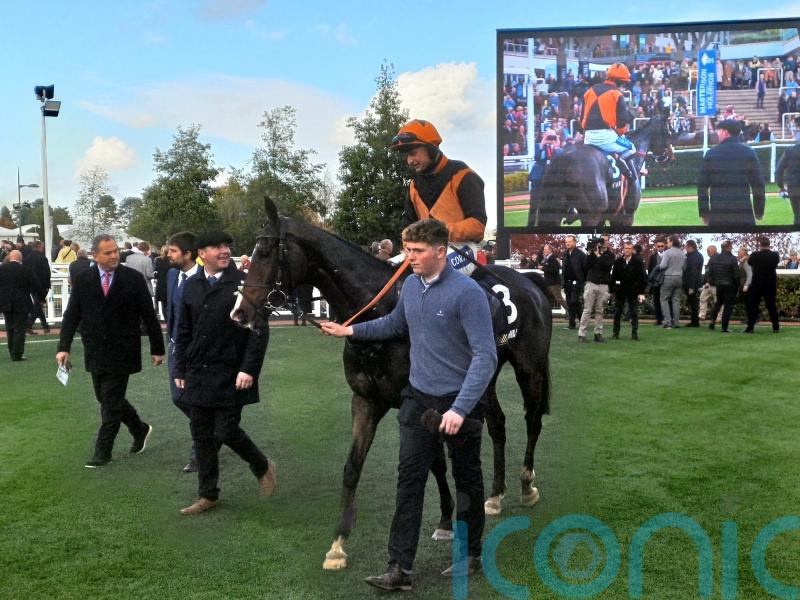 Donoghue hits Cheltenham target with Lisnamult Lad