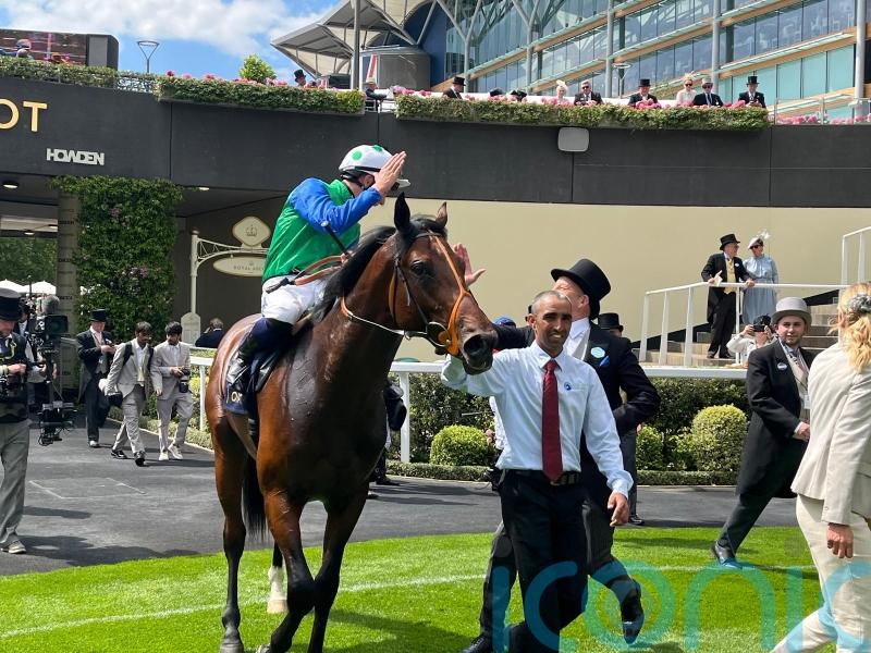 Meehan expecting better to come from Rashabar after this weekend