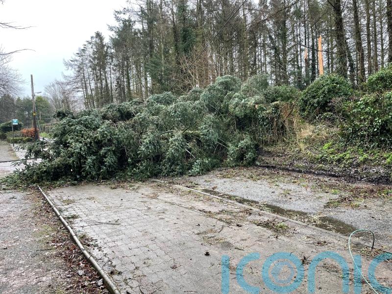 Study reveals power of Storm Eowyn and how Galway escaped record high flooding