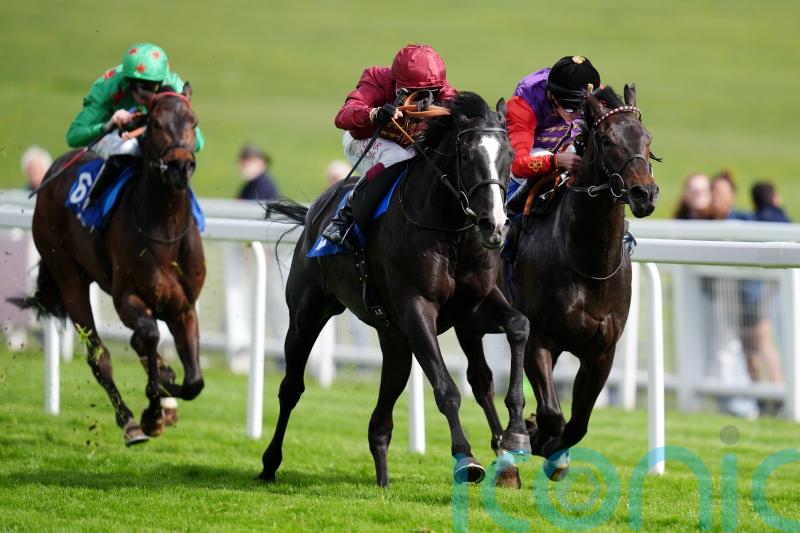 Epsom debutant Jackknife looks smart prospect in the making