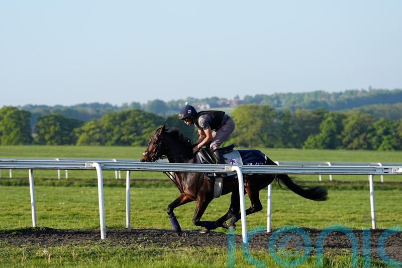 Owen predicting bold show from Ambiente Friendly