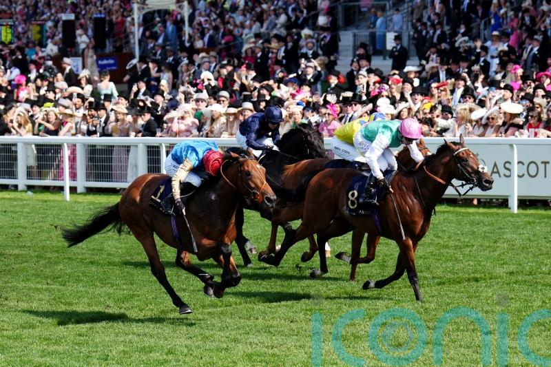 Hopes high for Haatem in &lsquo;hot&rsquo; Listed affair at Longchamp