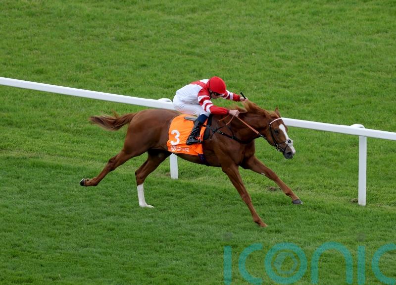 King&rsquo;s Gambit pointed at Goodwood after strong Wolferton run