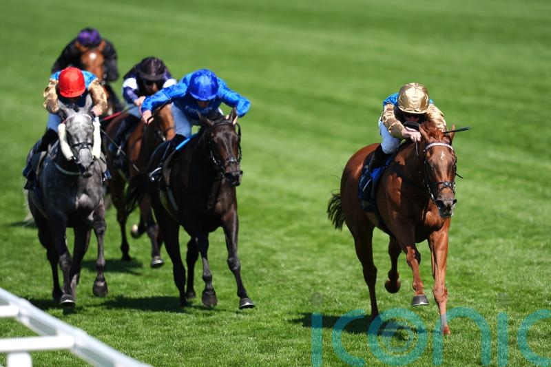 Doyle looking forward to Crimson tide rolling into Newmarket