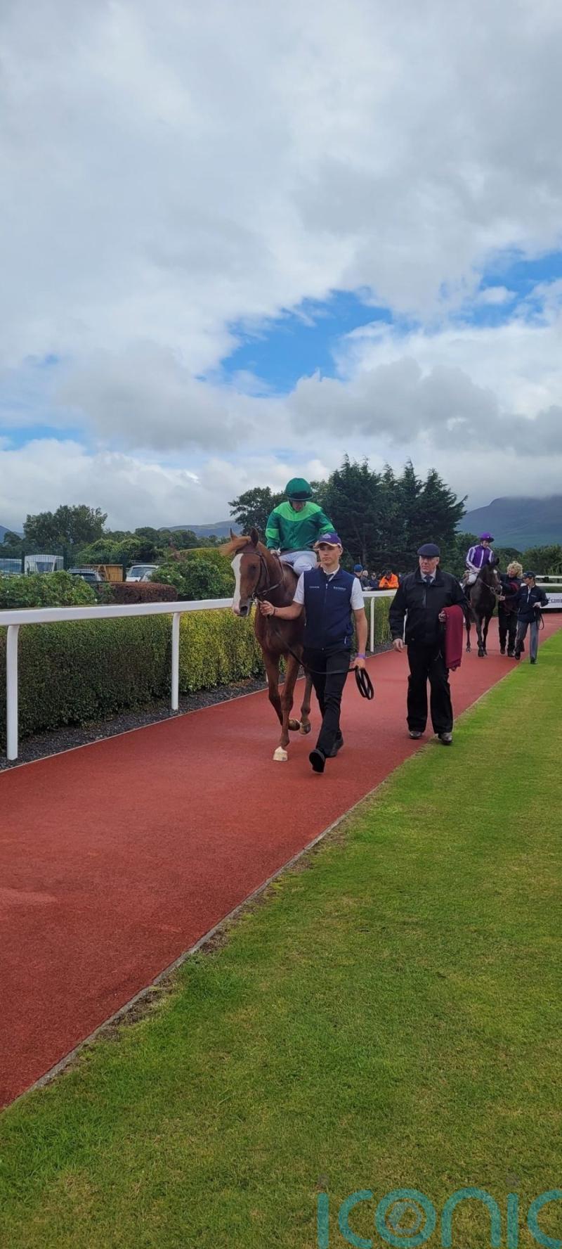Benvenuto Cellini makes winning mark at Killarney