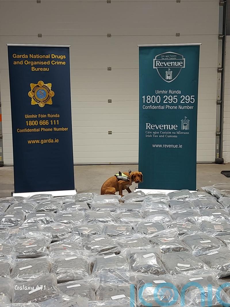 Man arrested after cannabis worth 2.1 million euro seized in Cork