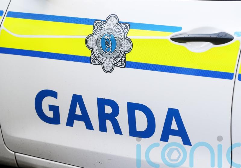Disinformation about knife attack on garda spread very quickly &ndash; senior officer