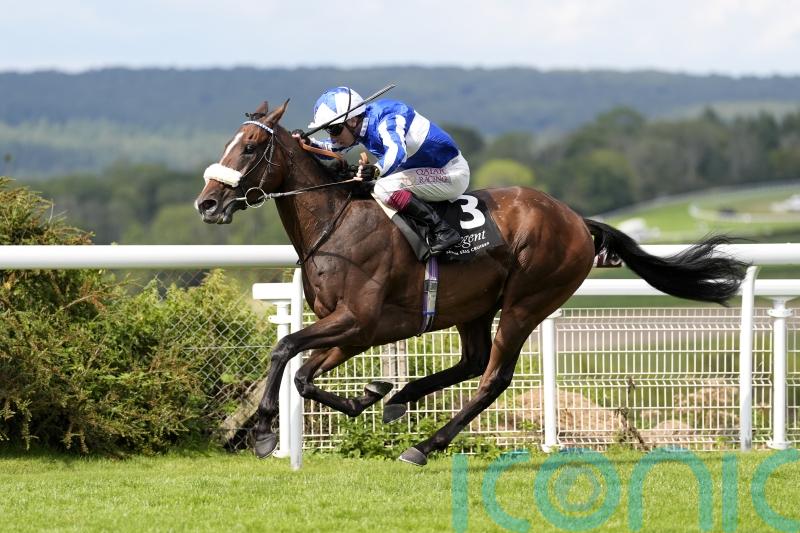 Fox too smart in Bentinck contest