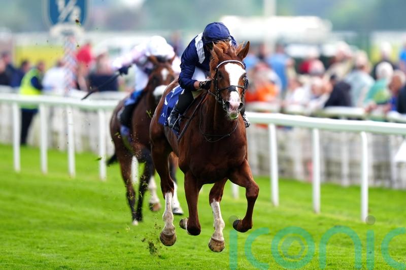 Ascot run might not add up for Haggas&rsquo; Economics