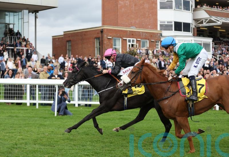 First Instinct delights William Haggas with Trophy win