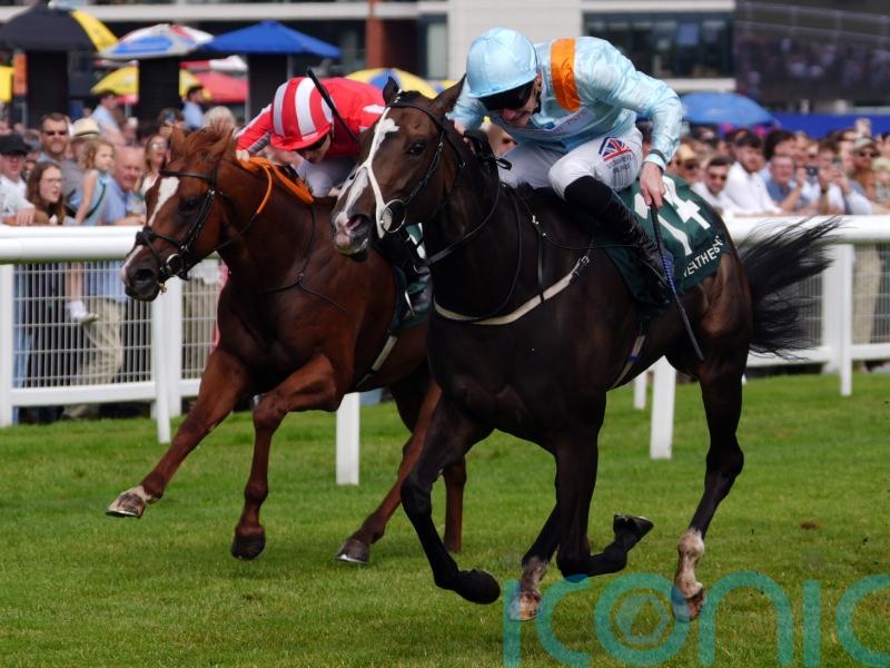 Bargain buy Anthelia primed for Cheveley Park challenge