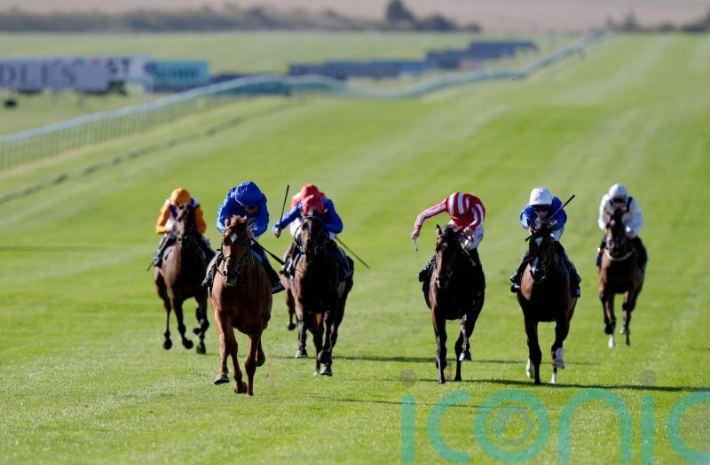 Distant Storm shows star quality in Tattersalls demolition